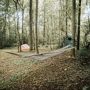 Crashpad 1620