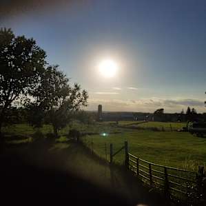 ThatView