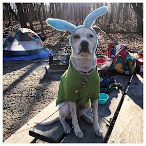 Dunewood Campground