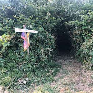 Tunnel from the parking spot in the meadow to the teepee.