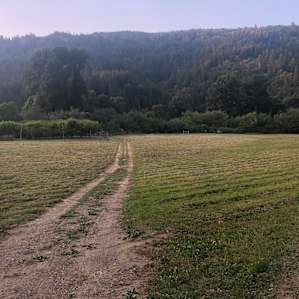 View of the meadow coming down from the bathouse.