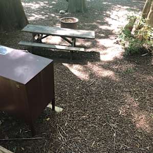 Albee Creek Campground