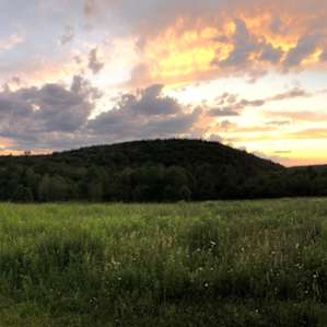 Coy Mountain Camp