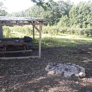Blueberry & Chestnut Farm