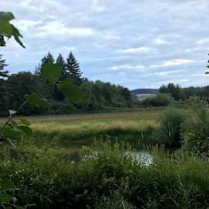 Orchard Camp at Dairy Creek Stables