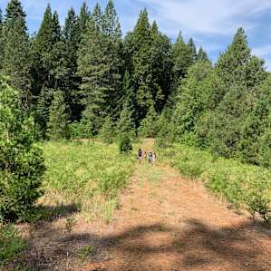 On the property hike