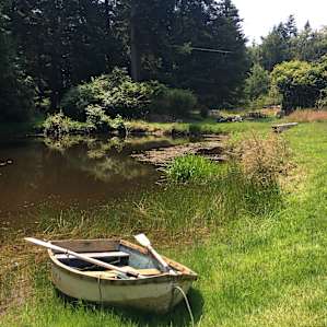 The pond.