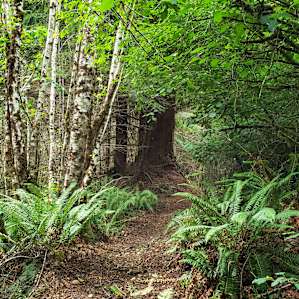 Creekside, 124 Acre Farm Wetlands