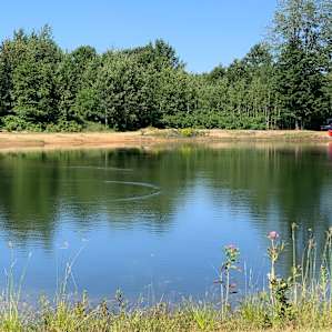 Frog's Hair Pond