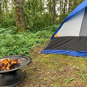 Forest Camping at Dragons Gate