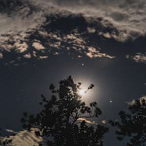 Night skies with Jupiter down on the right