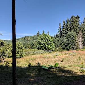Lucky Stars Retreat