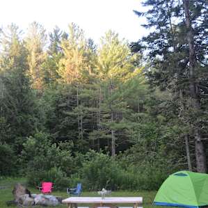 Old Logger Landing - Open Campsite