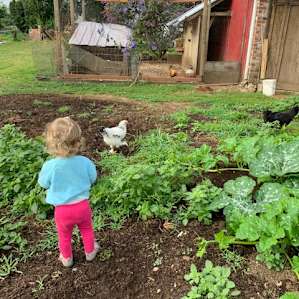Summer bliss on a farm.