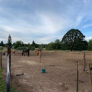 Summer bliss on a farm.