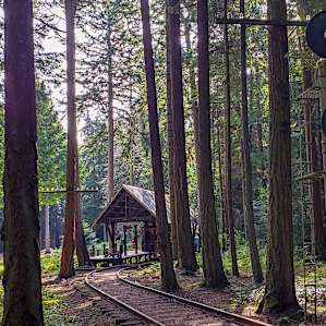 Camp with Your Vehicle On Orcas