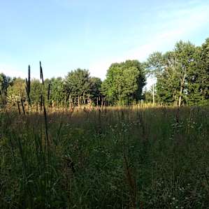 FairWeather Farm