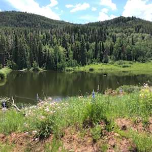 Old Baldy Back-Country Yurt