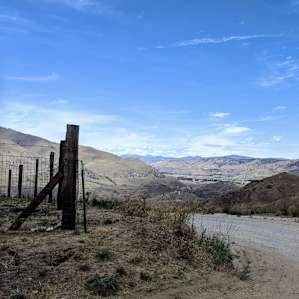 View from the road back down from the cabin.