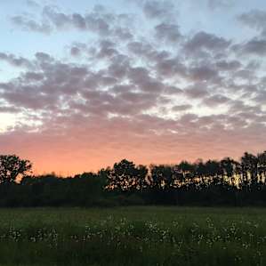 Prarie during the sunset.