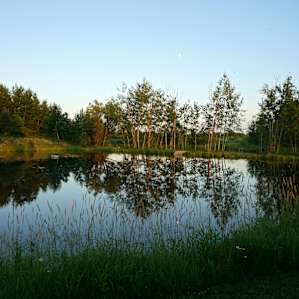 Vineyard Farm & Family Camp