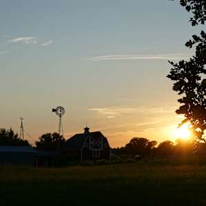 Vineyard Farm & Family Camp