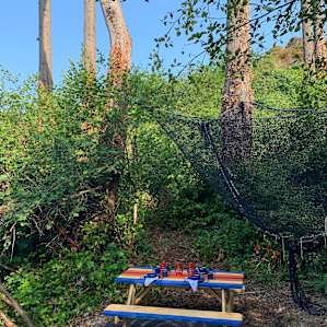 Instagram-worthy picnic table and place settings
