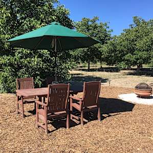 Private Walnut Grove for RV Camper