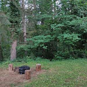 Salmon Creek Roadside Retreat