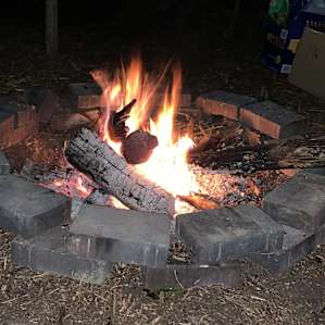 Secluded Tent Camping in Timber