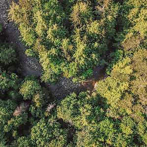 Another aerial view, there is an awesome swimming hole down there
