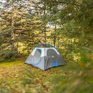 Tucked in the trees