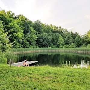 Birch camp
