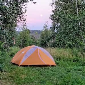 Birch camp
