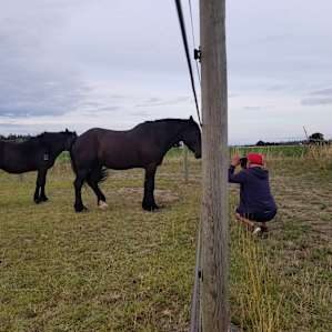 The camping spot is just this side of the horses.