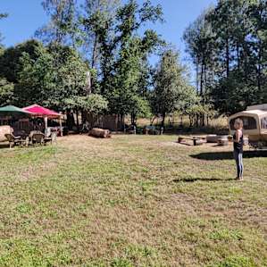 Overall area