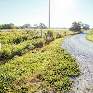 The road leading in to Shady Brook