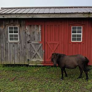 MLWSTABLES@ Double Rainbow Farm