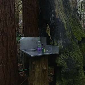 Outdoor sink