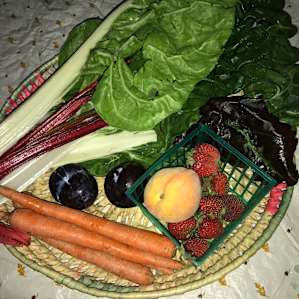 Amazing fresh produce