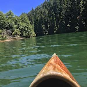 View from the handcrafted canoe we rented not too far from Baby Banana Slug farm. Catch a Canoe (and bicycles too) is a chill place and has fair prices.