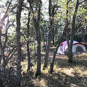 Tent ready