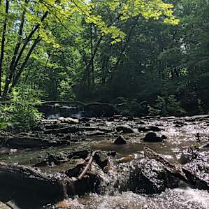 The falls