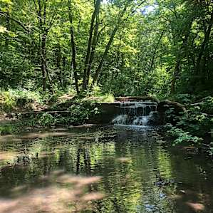Falls 2
