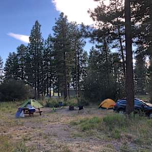 Camp site #2. If you zoom between trees you’ll see where there are cars driving by on the highway.