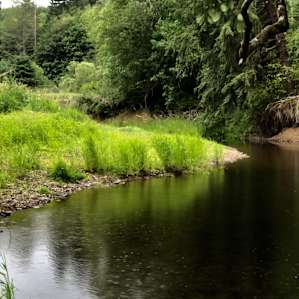 Awesome Acres River Retreat