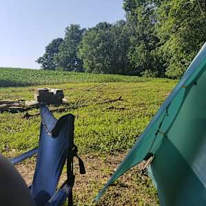 In the Corn Fields by the Lake