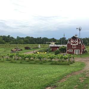 Vineyard Farm & Family Camp
