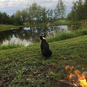 Vineyard Farm & Family Camp