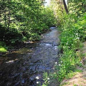 The stream on the property
